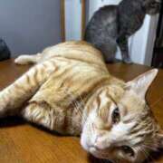 ヒメ日記 2026/03/25 11:02 投稿 麗華◇れいか 人妻吐息