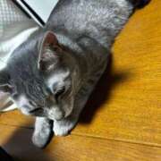 ヒメ日記 2026/03/31 23:36 投稿 麗華◇れいか 人妻吐息