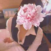 ヒメ日記 2025/06/17 14:33 投稿 かのん先生 渋谷   大人の幼稚園