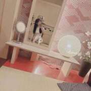 ヒメ日記 2025/03/17 17:38 投稿 りま タレント倶楽部シャングリラ