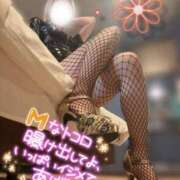 ヒメ日記 2025/07/18 16:39 投稿 雫(しずく)☆高級店レベル ハンドリング　亀頭責め専門店