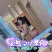 ヒメ日記 2025/11/25 18:55 投稿 雫(しずく)☆高級店レベル ハンドリング　亀頭責め専門店