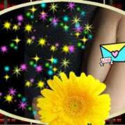 ヒメ日記 2025/04/03 10:43 投稿 ふじこ 人妻最後の砦 大和本店