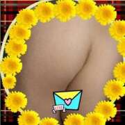 ヒメ日記 2025/04/09 09:51 投稿 ふじこ 人妻最後の砦 大和本店