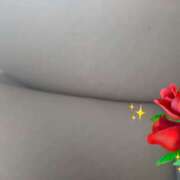 ヒメ日記 2026/03/12 12:40 投稿 ふじこ 人妻最後の砦 大和本店