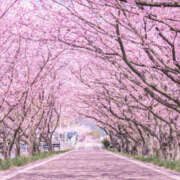 ヒメ日記 2026/04/02 10:53 投稿 ふじこ 人妻最後の砦 大和本店