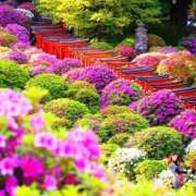 ふじこ お礼遅くなってごめんなさい 人妻最後の砦 大和本店