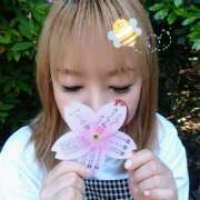 ヒメ日記 2025/05/12 14:59 投稿 堀田ありさ 川崎南町 素敵な奥様（川崎ハレ系）