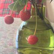 ヒメ日記 2025/11/18 10:52 投稿 早乙女おと 五十路マダムエクスプレス神戸店(カサブランカグループ)