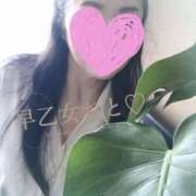 ヒメ日記 2025/11/19 10:00 投稿 早乙女おと 五十路マダムエクスプレス神戸店(カサブランカグループ)