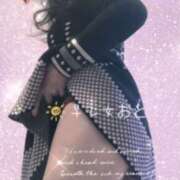 ヒメ日記 2025/12/07 00:08 投稿 早乙女おと 五十路マダムエクスプレス神戸店(カサブランカグループ)