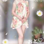 早乙女おと お礼｜15時ご予約様  五十路マダムエクスプレス神戸店(カサブランカグループ)