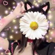 ヒメ日記 2025/02/15 12:05 投稿 むむ マーガレット