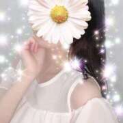 むむ こんにちは🌼.* マーガレット