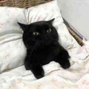 ヒメ日記 2024/12/28 12:23 投稿 さら 即アポ奥さん ～津・松阪店～