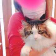 ヒメ日記 2026/02/26 17:14 投稿 さら 即アポ奥さん ～津・松阪店～