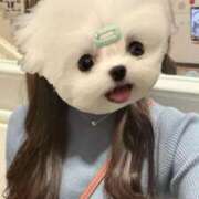 ヒメ日記 2025/02/08 05:55 投稿 くりす とある風俗店♡やりすぎさーくる新宿大久保店♡で色んな無料オプションしてみました