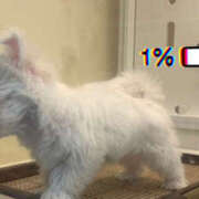 ヒメ日記 2025/03/15 09:33 投稿 千反田エル ファンタジー