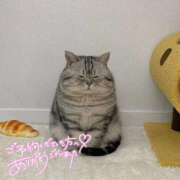 ヒメ日記 2025/03/17 02:26 投稿 千反田エル ファンタジー