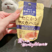 ヒメ日記 2025/09/29 08:26 投稿 千反田エル ファンタジー