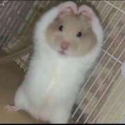 ヒメ日記 2025/11/07 23:50 投稿 千反田エル ファンタジー