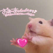 ヒメ日記 2025/12/28 10:50 投稿 千反田エル ファンタジー