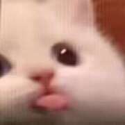 ヒメ日記 2026/02/02 14:58 投稿 千反田エル ファンタジー