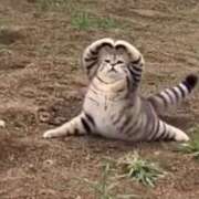 ヒメ日記 2026/02/03 10:00 投稿 千反田エル ファンタジー