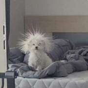 ヒメ日記 2026/03/02 09:58 投稿 千反田エル ファンタジー