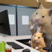 ヒメ日記 2026/04/17 20:02 投稿 千反田エル ファンタジー