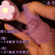 ヒメ日記 2024/12/25 07:06 投稿 フウカ 月兎（GET）