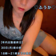 ヒメ日記 2024/12/28 10:26 投稿 フウカ 月兎（GET）