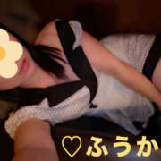 ヒメ日記 2024/12/30 10:09 投稿 フウカ 月兎（GET）