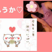 ヒメ日記 2024/12/31 15:00 投稿 フウカ 月兎（GET）