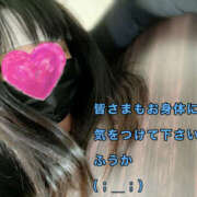 ヒメ日記 2025/01/03 00:23 投稿 フウカ 月兎（GET）