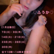 ヒメ日記 2025/01/03 23:35 投稿 フウカ 月兎（GET）