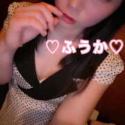 ヒメ日記 2025/01/18 19:25 投稿 フウカ 月兎（GET）