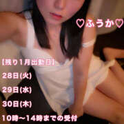 ヒメ日記 2025/01/25 12:17 投稿 フウカ 月兎（GET）