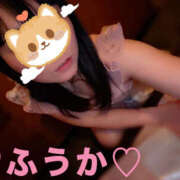 ヒメ日記 2025/02/10 06:23 投稿 フウカ 月兎（GET）