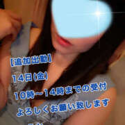 ヒメ日記 2025/02/13 06:34 投稿 フウカ 月兎（GET）