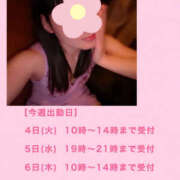 ヒメ日記 2025/03/04 06:19 投稿 フウカ 月兎（GET）