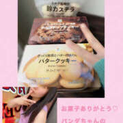 ヒメ日記 2025/04/05 11:16 投稿 フウカ 月兎（GET）