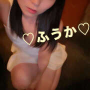 ヒメ日記 2025/04/16 18:49 投稿 フウカ 月兎（GET）