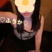 ヒメ日記 2025/04/26 07:31 投稿 フウカ 月兎（GET）