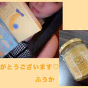 ヒメ日記 2025/05/02 06:42 投稿 フウカ 月兎（GET）