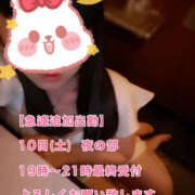 ヒメ日記 2025/05/09 17:08 投稿 フウカ 月兎（GET）