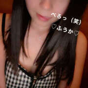 ヒメ日記 2025/05/15 06:42 投稿 フウカ 月兎（GET）