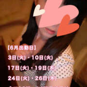 ヒメ日記 2025/05/27 09:34 投稿 フウカ 月兎（GET）