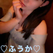 ヒメ日記 2025/06/05 06:57 投稿 フウカ 月兎（GET）