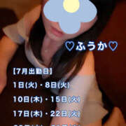 ヒメ日記 2025/06/27 07:04 投稿 フウカ 月兎（GET）